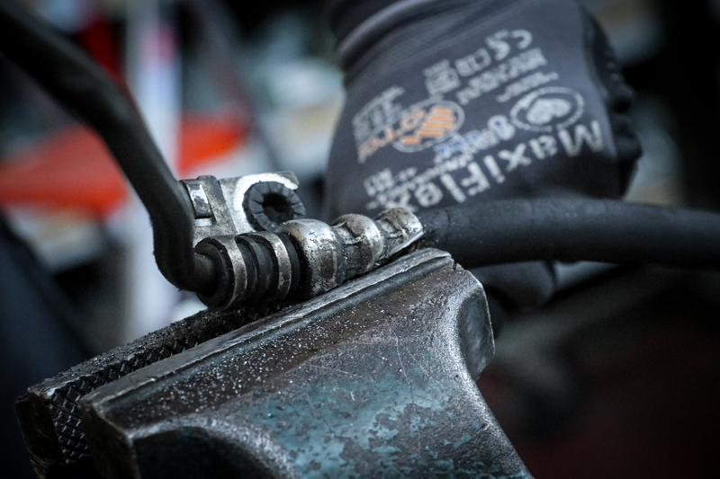 bL_IMG_2451